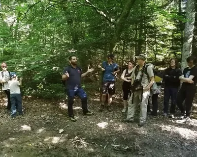 balade_forestiere.jpg